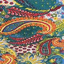 4261-MULTI PAISLEY